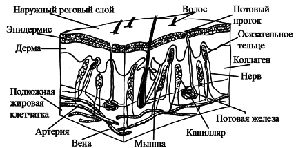 Салон красоты на дому - i_001.png