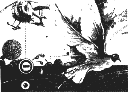 Дзвони зеленої Галактики - Untitled6.png