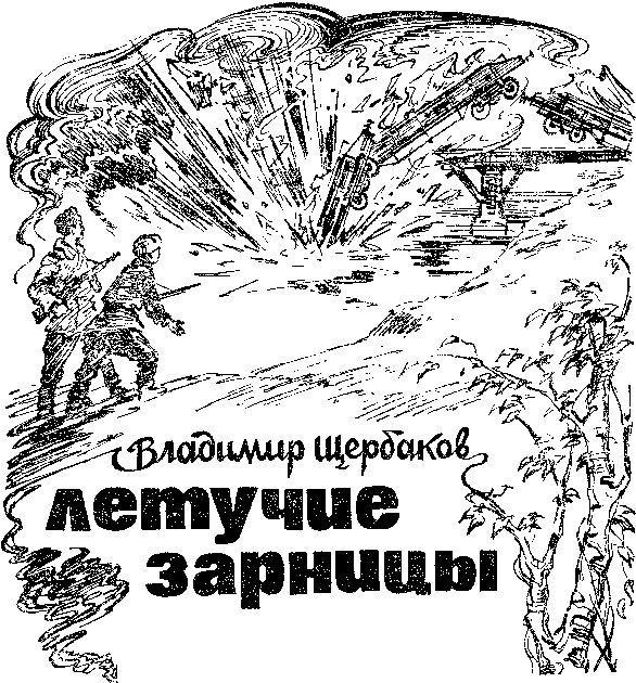 Искатель. 1985. Выпуск №1 - i_003.png