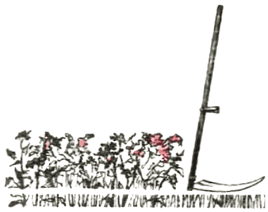 Ни далеко, ни близко, ни высоко, ни низко. Сказки славян. - i_002.png