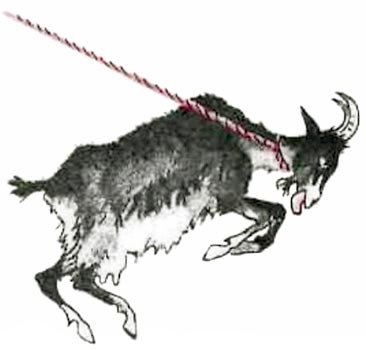 Ни далеко, ни близко, ни высоко, ни низко. Сказки славян. - i_013.jpg