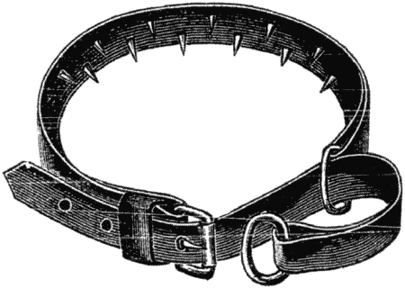 Дрессировка полицейских собак - i_014.png