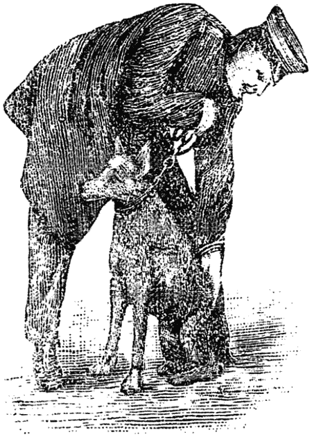 Дрессировка полицейских собак - i_015.png
