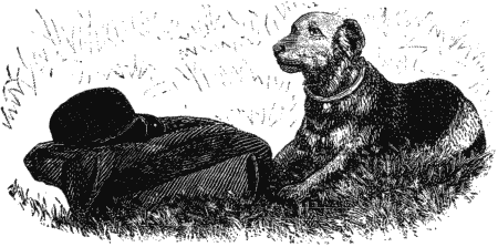 Дрессировка полицейских собак - i_024.png