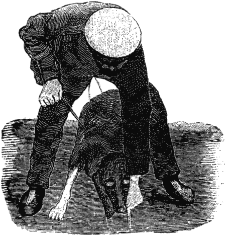 Дрессировка полицейских собак - i_027.png