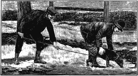 Дрессировка полицейских собак - i_029.png