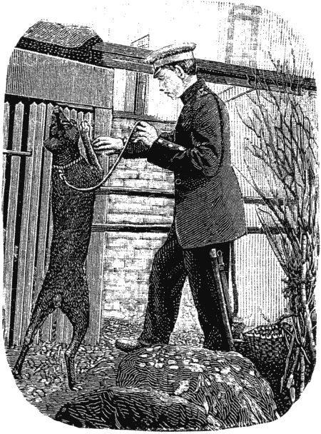 Дрессировка полицейских собак - i_030.png