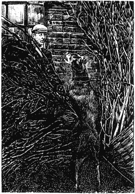 Дрессировка полицейских собак - i_031.png