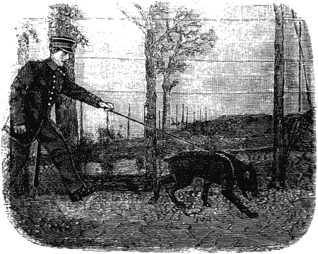 Дрессировка полицейских собак - i_033.png