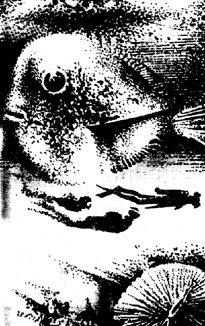 Експедиція «Гондвана» - doc2fb_image_0300000C.png
