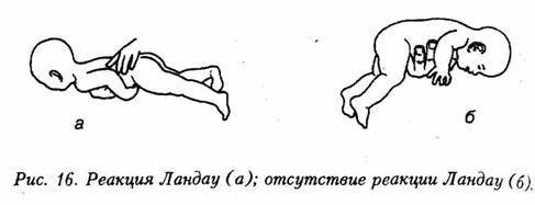Искусство не стареть - image11.jpg