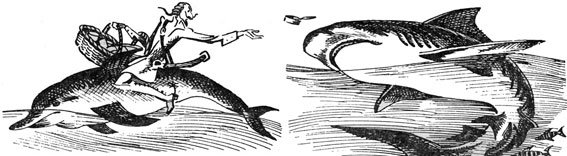 Клуб знаменитых капитанов. Книга 2 - pic_60.jpg