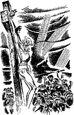 Кришталеві небеса - doc2fb_image_03000005.png