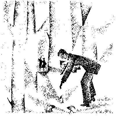 Вогненний водоспад - doc2fb_image_03000009.png