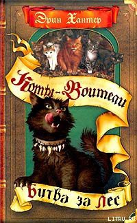 Книга Битва за лес