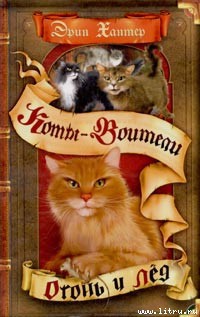Книга Огонь и лед