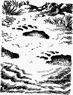 Сказание о верном друге - i_031.png