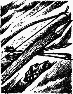 Сказание о верном друге - i_033.png