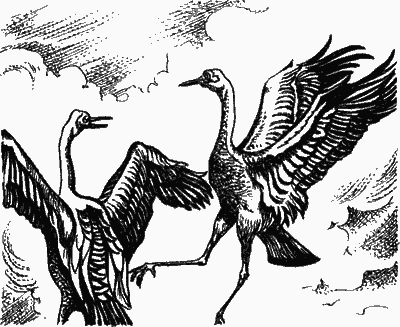 Сказание о верном друге - i_035.png