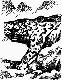 Сказание о верном друге - i_036.png