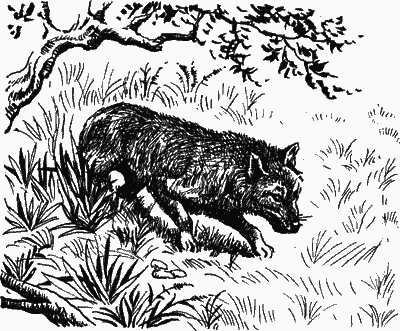 Сказание о верном друге - i_037.png