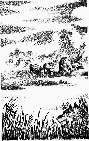 Сказание о верном друге - i_039.png