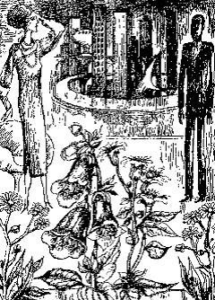 Колиска на орбіті - doc2fb_image_03000013.png