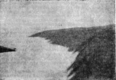 На самолете в Восточной Арктике - i_008.jpg