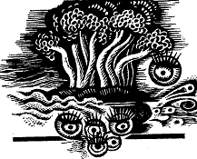 Аурентина - doc2fb_image_03000006.png