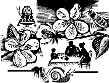 Аурентина - doc2fb_image_03000009.png