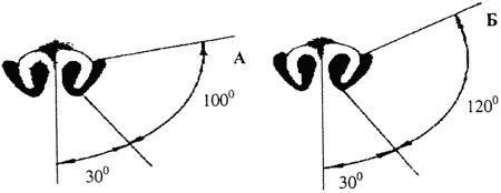 Кинологическое обеспечение деятельности органов и войск МВД РФ - i_021.png