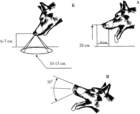 Кинологическое обеспечение деятельности органов и войск МВД РФ - i_023.png