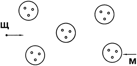 Кинологическое обеспечение деятельности органов и войск МВД РФ - i_031.png