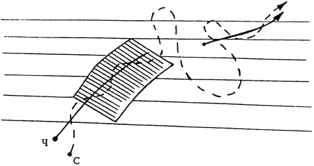 Кинологическое обеспечение деятельности органов и войск МВД РФ - i_032.png