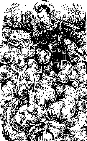 Аргонавти Всесвіту - doc2fb_image_0300000C.png