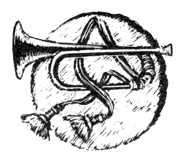 Наградная медаль. В 2-х томах. Том 1 (1701-1917) - bw_19.png