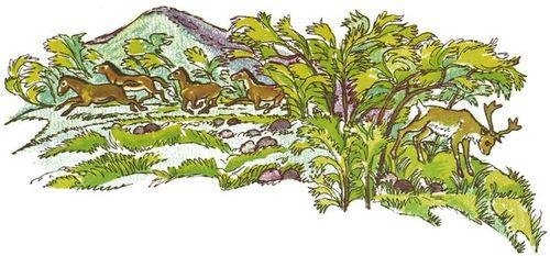 Мамонтёнок Фуф - img_17.jpeg