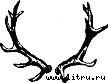 Дикие земли - wilderness5.jpg