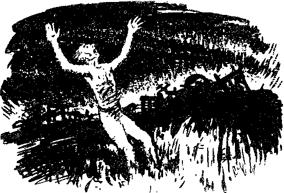 Чорні зорі - doc2fb_image_03000013.png