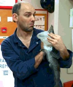 Записки переворачивателя пингвинов. - pic_3.jpg