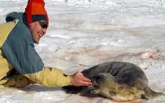 Записки переворачивателя пингвинов. - pic_12.jpg