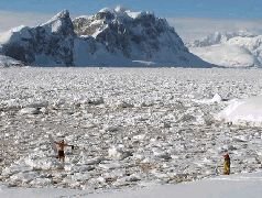 Записки переворачивателя пингвинов. - pic_14.jpg
