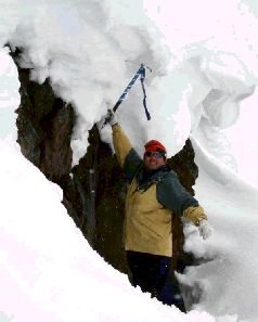 Записки переворачивателя пингвинов. - pic_18.jpg