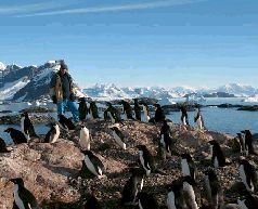 Записки переворачивателя пингвинов. - pic_31.jpg