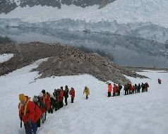 Записки переворачивателя пингвинов. - pic_41.jpg