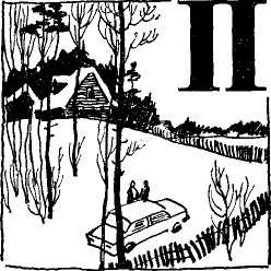 Волосы Вероники - i_016.jpg