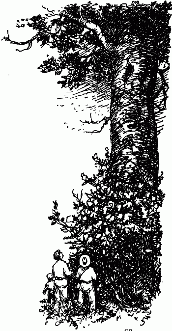 Встречи с животными - img_25.png