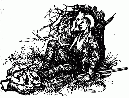 Встречи с животными - img_46.png