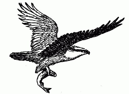 Встречи с животными - img_60.png