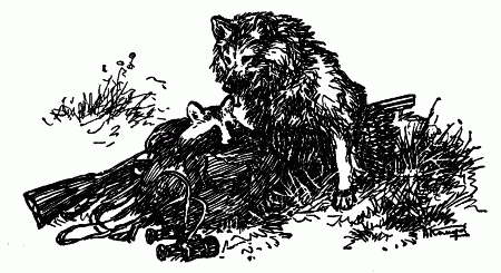 Встречи с животными - img_69.png